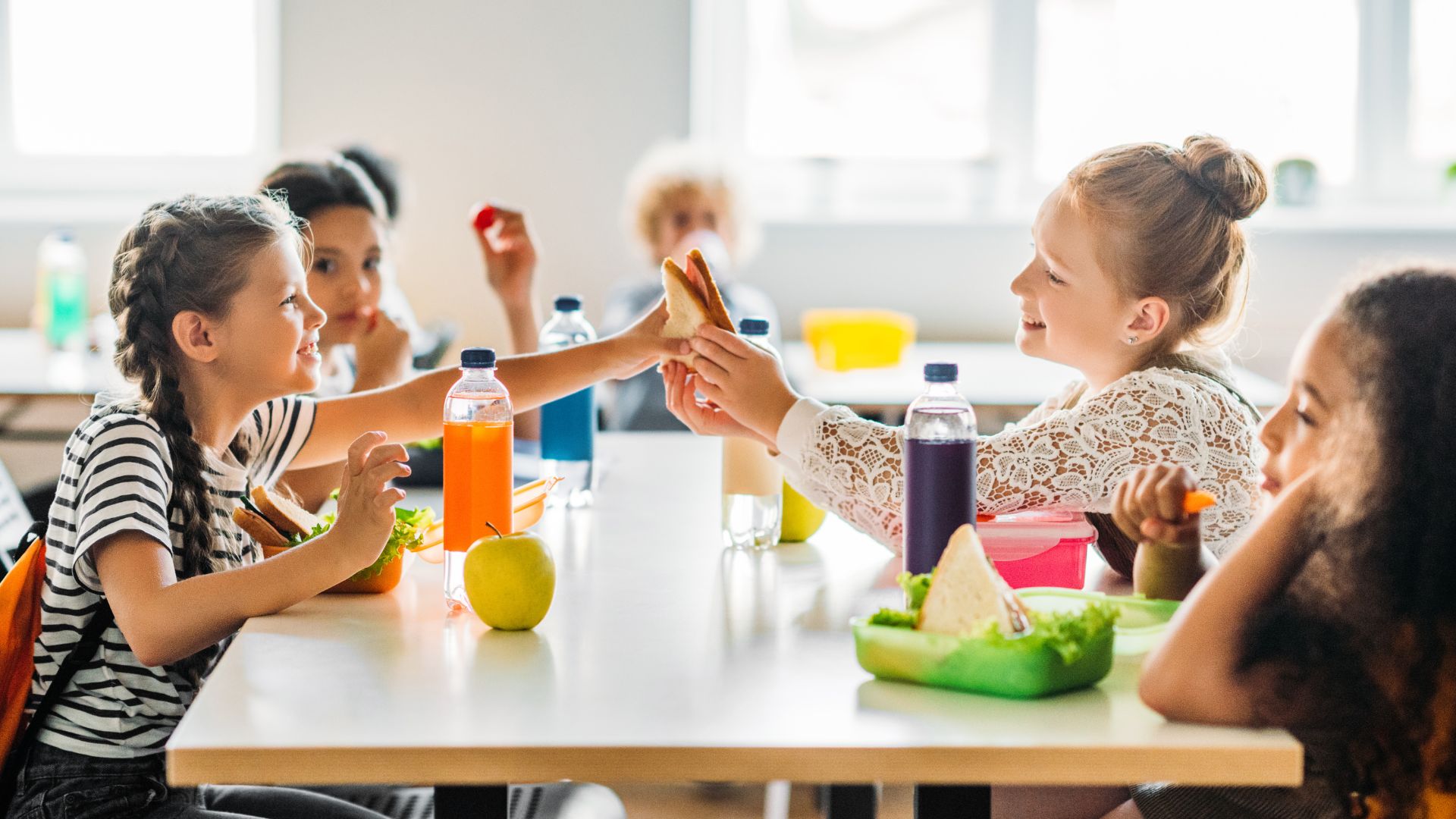 Schulessen im Fokus 16_9