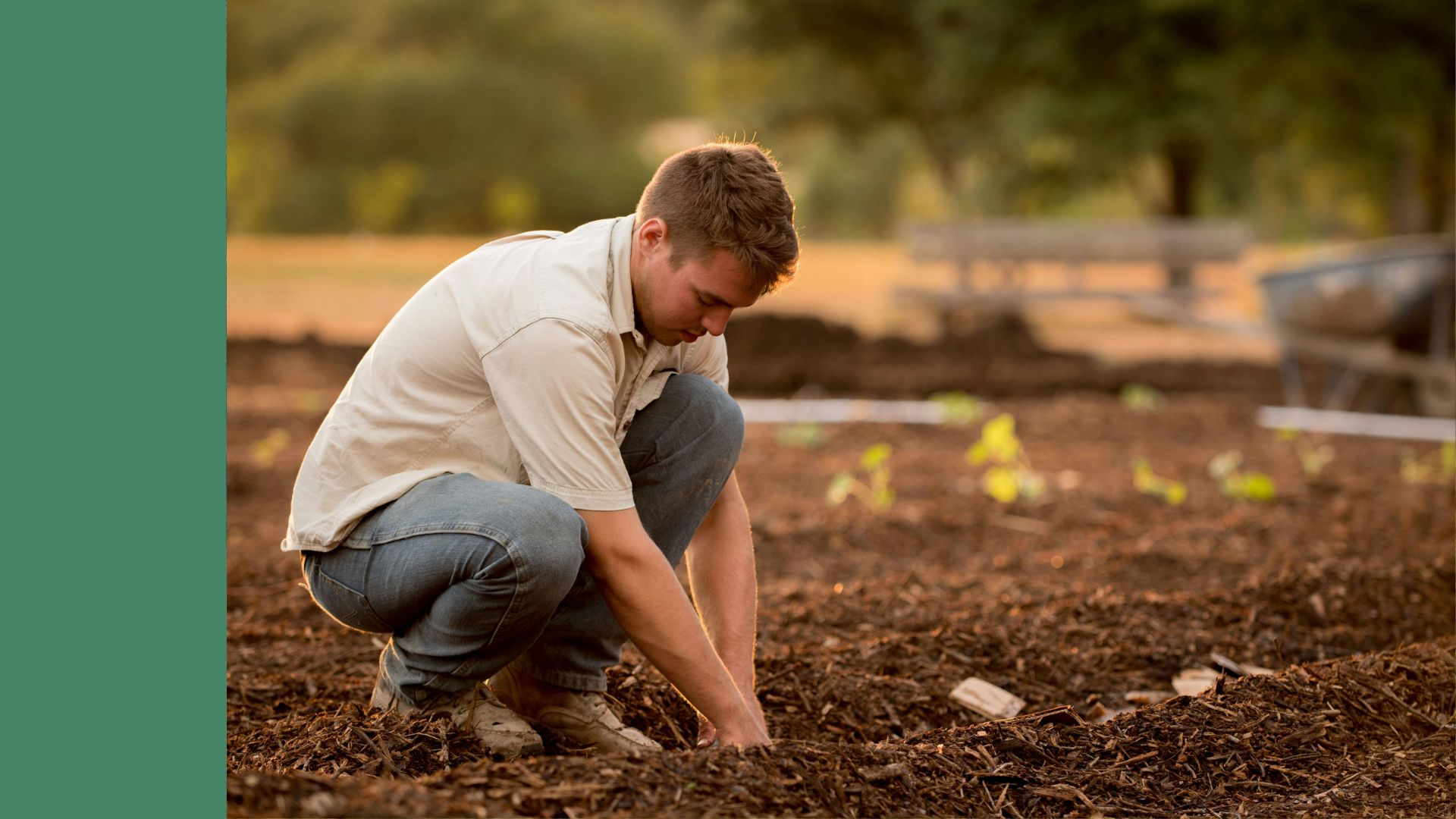 Teaser ARGE (11) Zivildienst in der Landwirtschaft