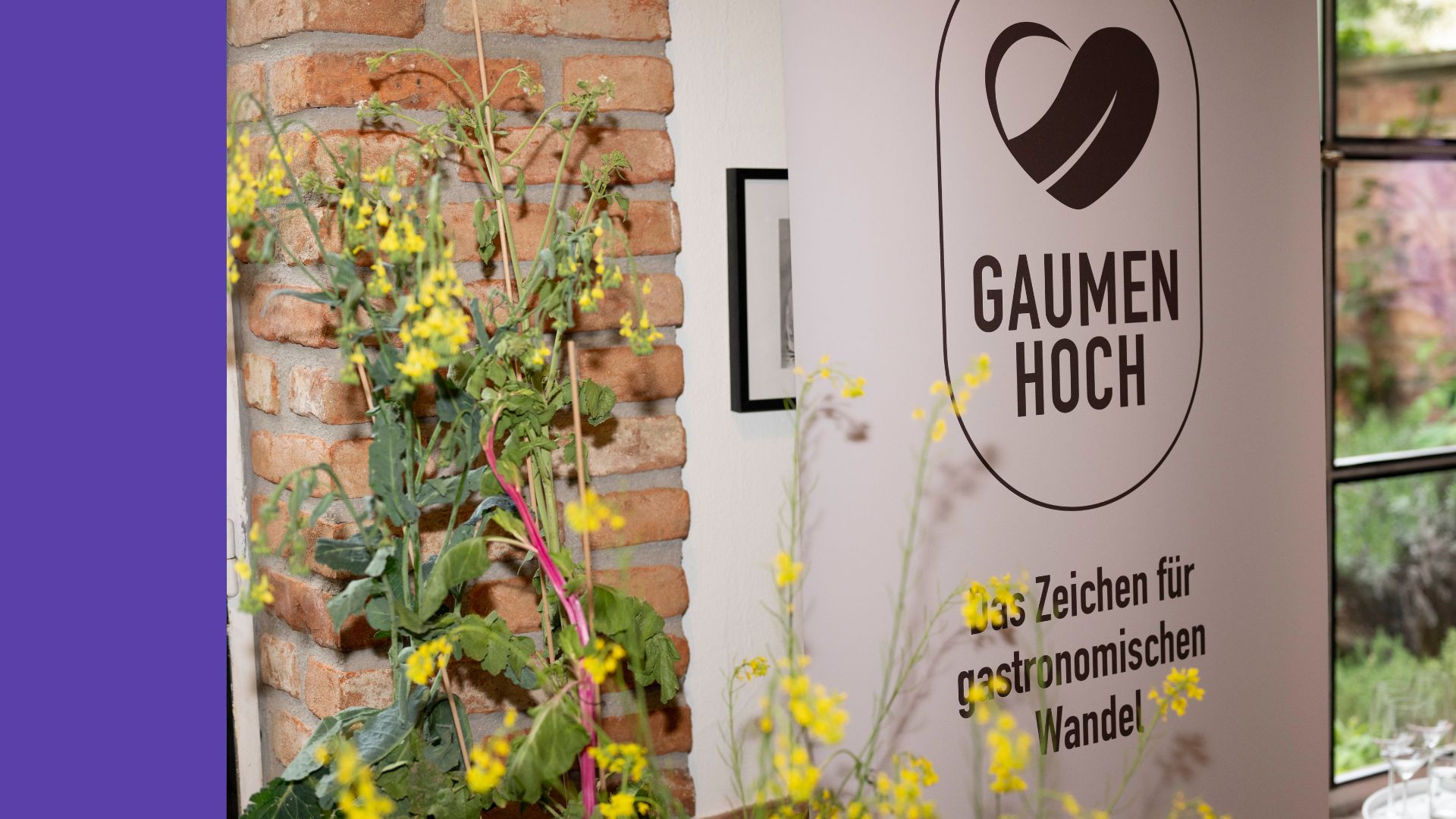 Gaumen Hoch Connection