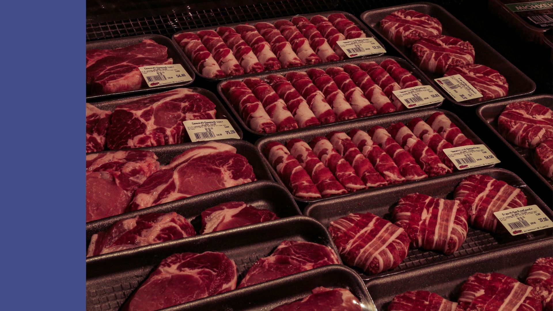 Teaser ARGE (80) Fleisckonsum