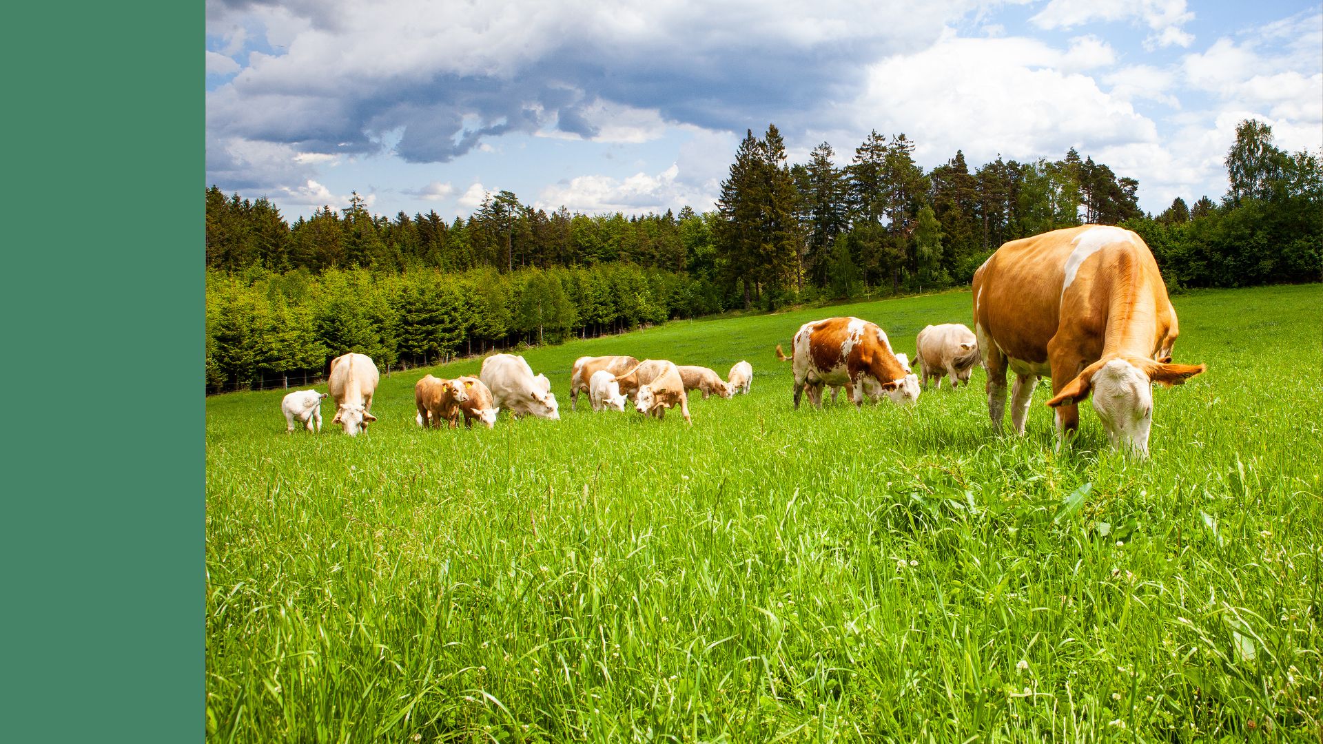 Teaser ARGE (92) Landwirtschaft